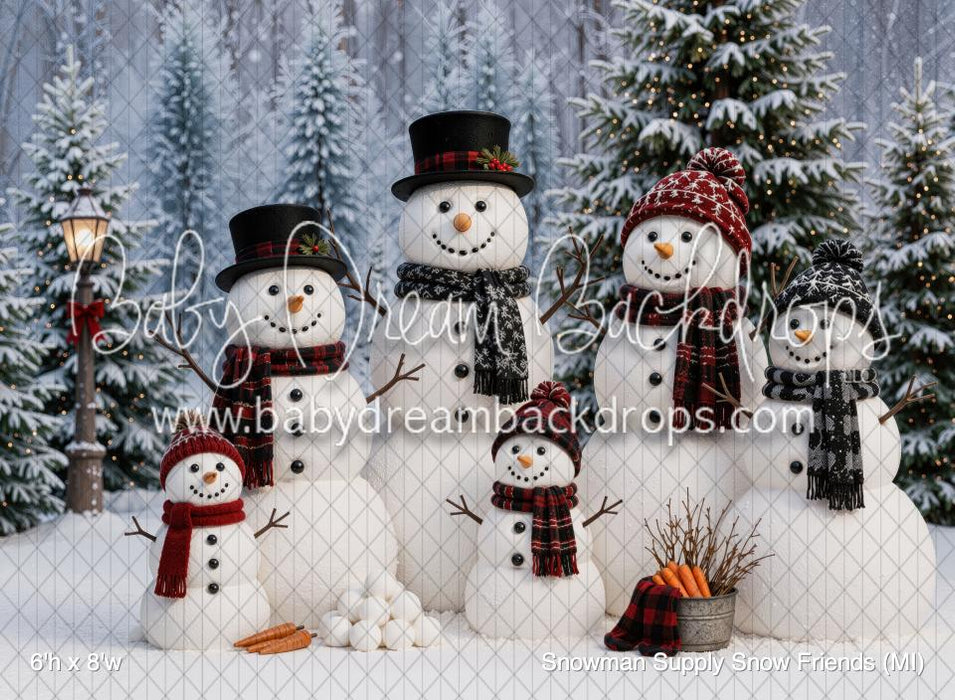 Snowman Supply Snow Friends (MI)