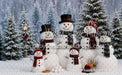 Snowman Supply Snow Friends (MI)