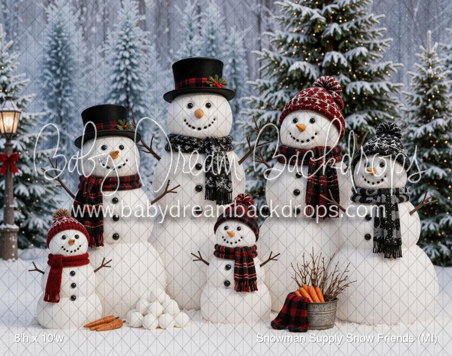 Snowman Supply Snow Friends (MI)