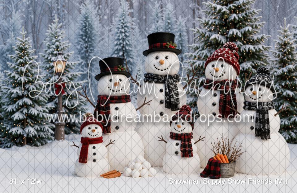 Snowman Supply Snow Friends (MI)