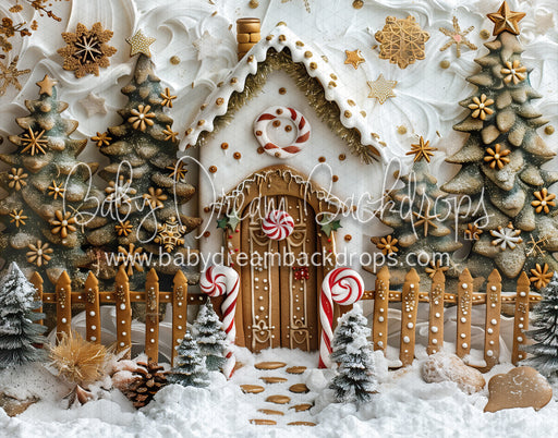 Snowy Gingerbread House (MD)