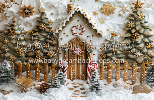 Snowy Gingerbread House (MD)