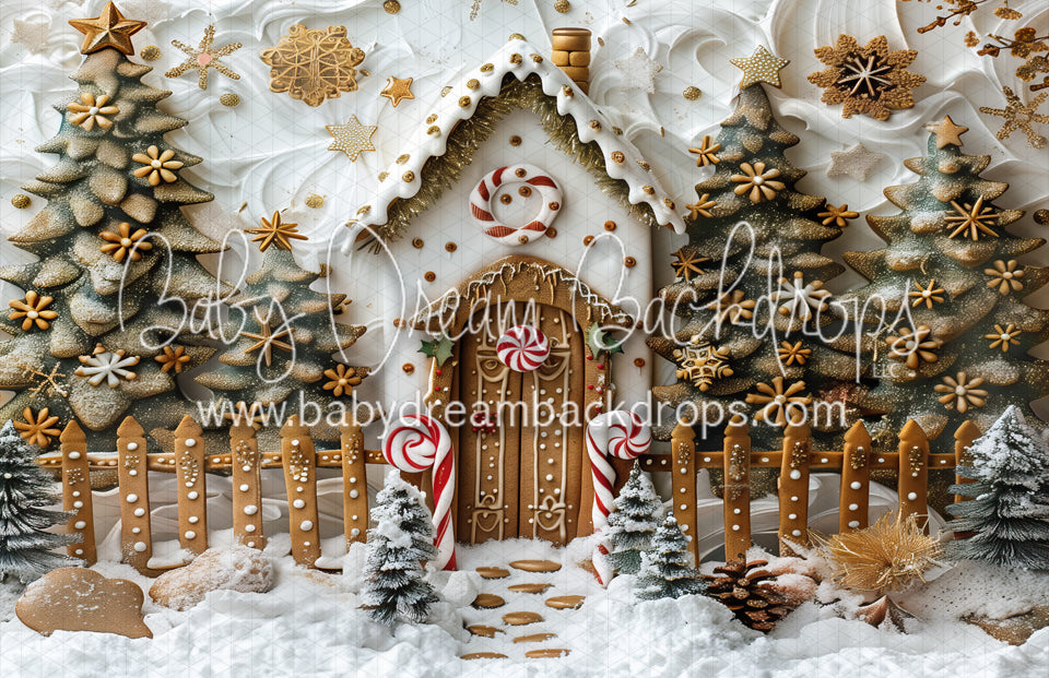 Snowy Gingerbread House Flipped (MD)