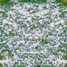 Snowy Grass Fabric Floor Fabric Floor (WM)