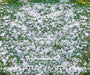 Snowy Grass Fabric Floor Fabric Floor (WM)