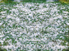 Snowy Grass Fabric Floor Fabric Floor (WM)