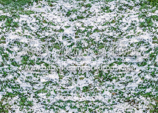 Snowy Grass Floor Floor (WM)