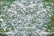 Snowy Grass Floor Floor (WM)