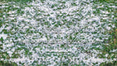 Snowy Grass Fabric Floor Fabric Floor (WM)
