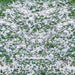 Snowy Grass Fabric Floor Fabric Floor (WM)