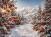 Snowy Holly Bridge at Golden Hour (OM)