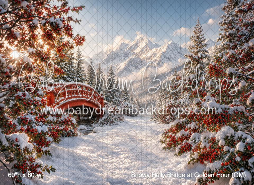 Snowy Holly Bridge at Golden Hour (OM)