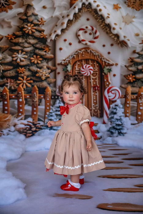 Snowy Gingerbread House (MD)