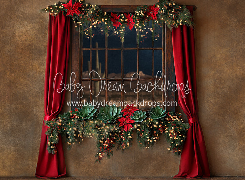 Southwest in December Window (JA)