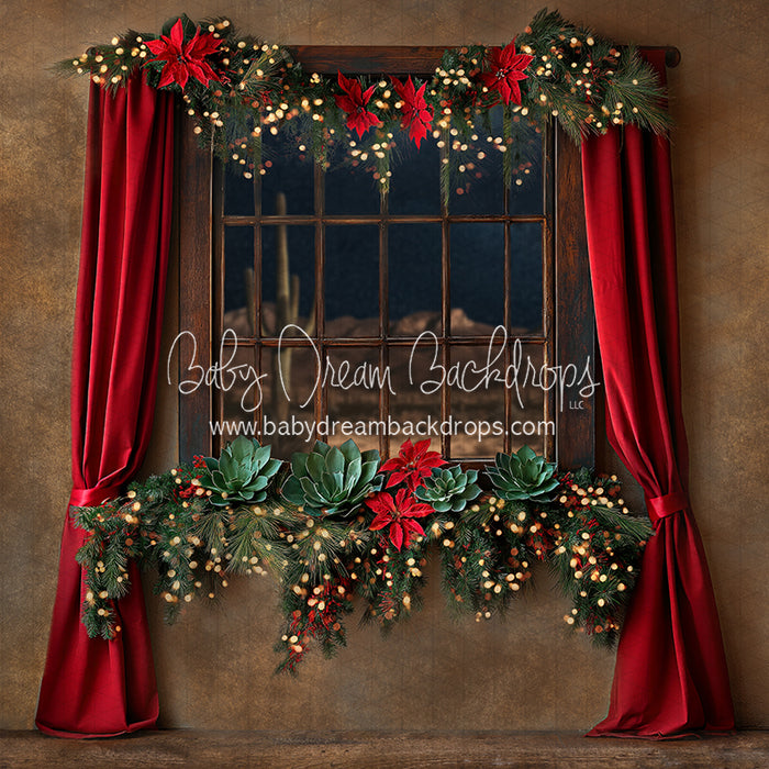 Southwest in December Window (JA)