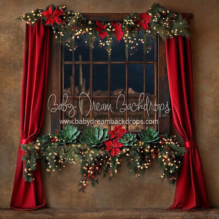 Southwest in December Window (JA)