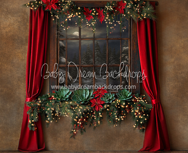 Southwest in December Winter Window (JA)