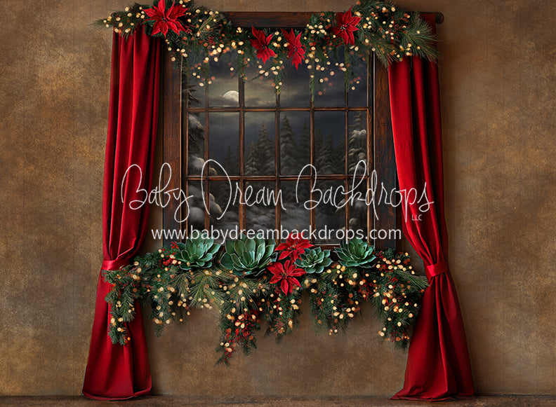 Southwest in December Winter Window (JA)