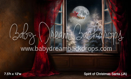 Spirit of Christmas Santa (JA)