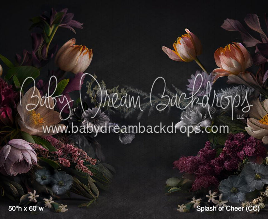 Splash of Cheer (CC)