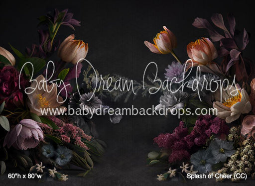 Splash of Cheer (CC)