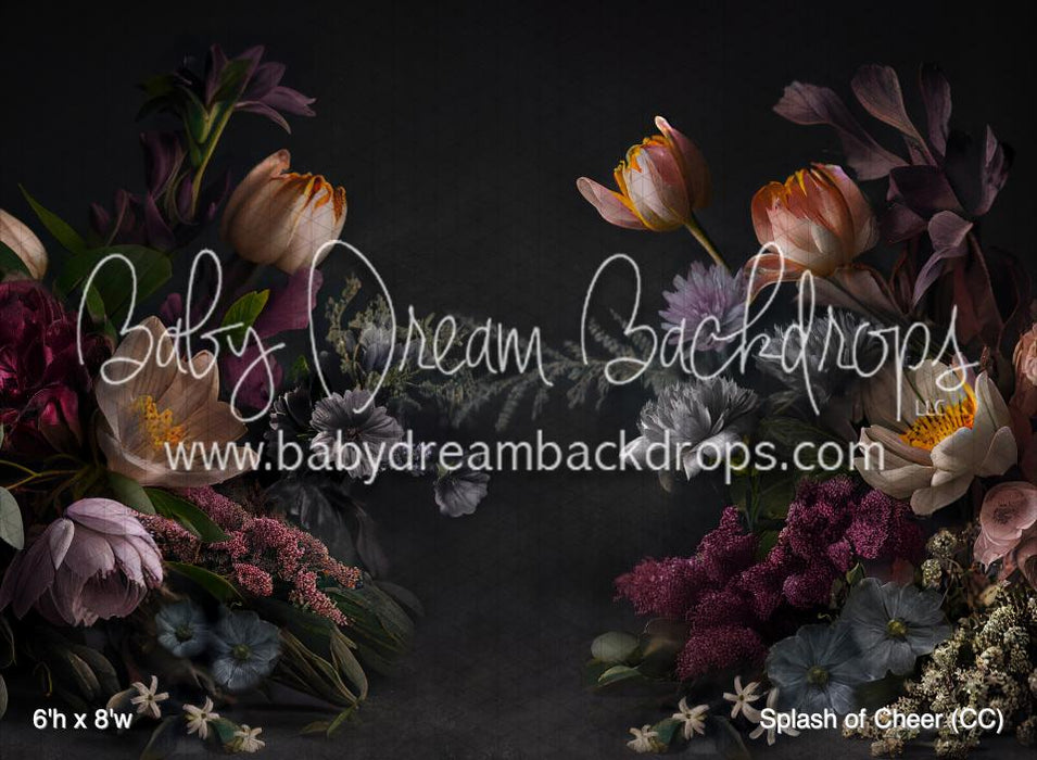 Splash of Cheer (CC)