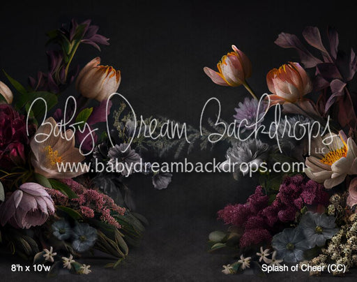 Splash of Cheer (CC)