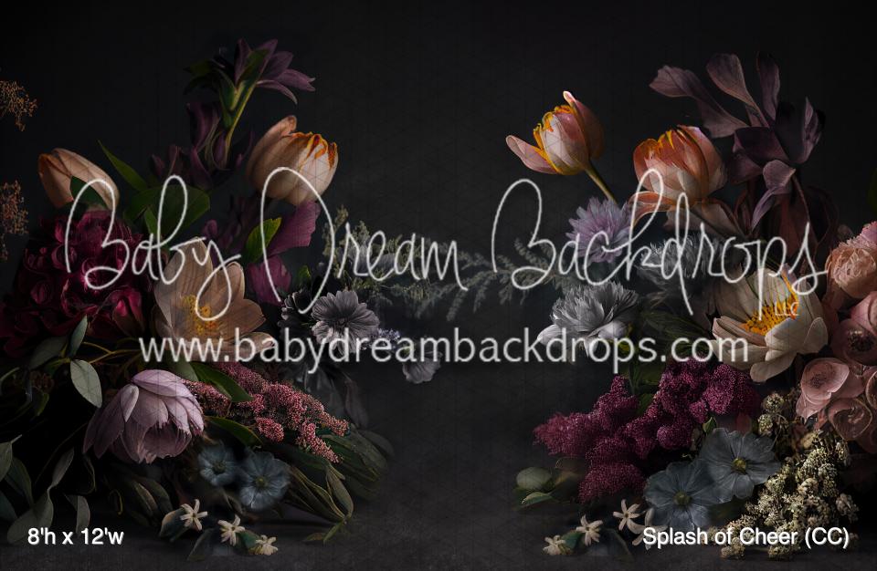 Splash of Cheer (CC)