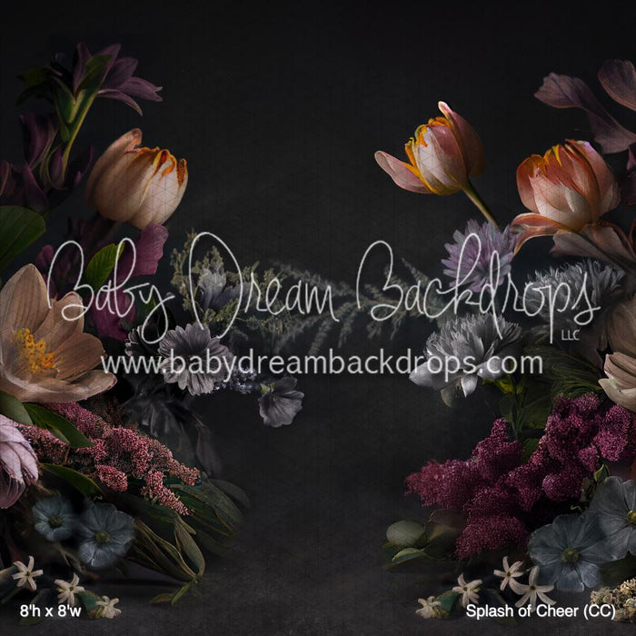 Splash of Cheer (CC)