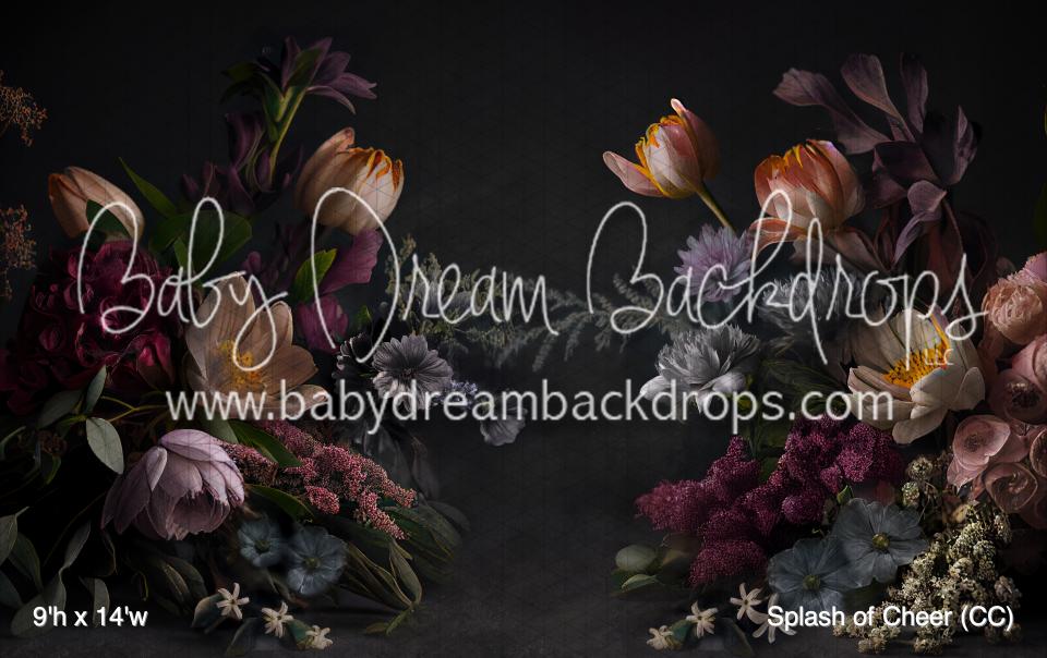 Splash of Cheer (CC)