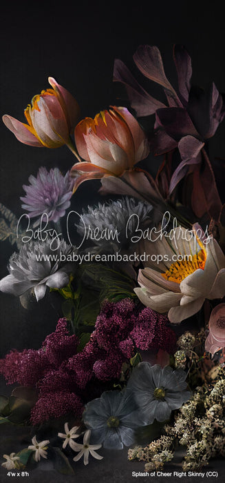 Splash of Cheer Right Skinny (CC)