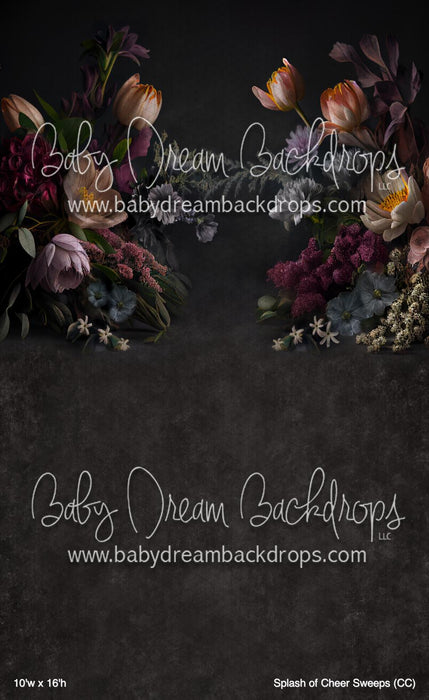 Splash of Cheer Sweeps (CC)