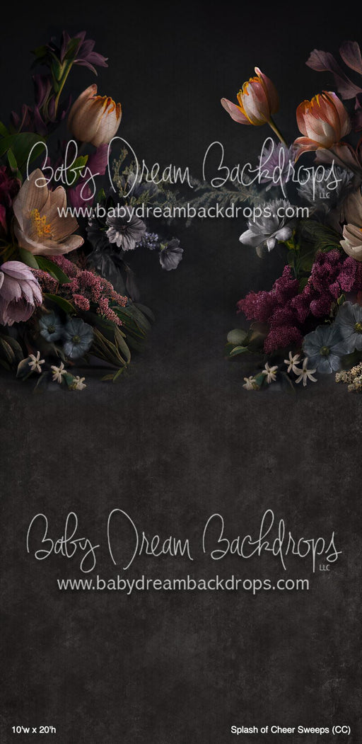 Splash of Cheer Sweeps (CC)