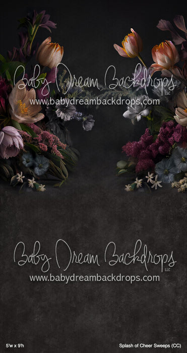 Splash of Cheer Sweeps (CC)