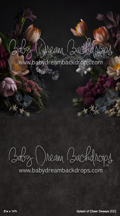 Splash of Cheer Sweeps (CC)