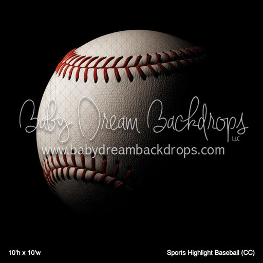 Sports Highlight Baseball (CC)