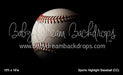 Sports Highlight Baseball (CC)