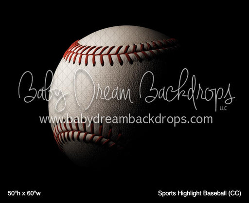 Sports Highlight Baseball (CC)