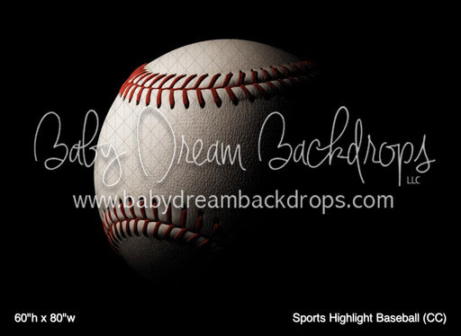 Sports Highlight Baseball (CC)