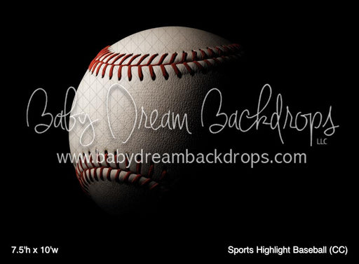 Sports Highlight Baseball (CC)