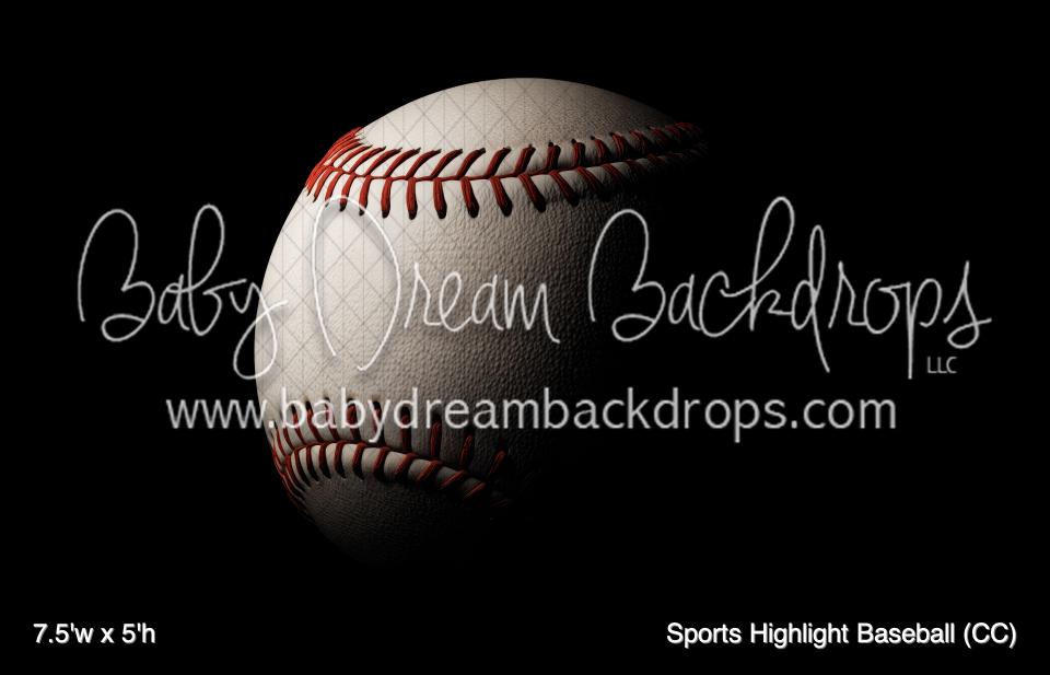 Sports Highlight Baseball (CC)
