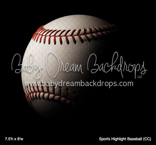 Sports Highlight Baseball (CC)