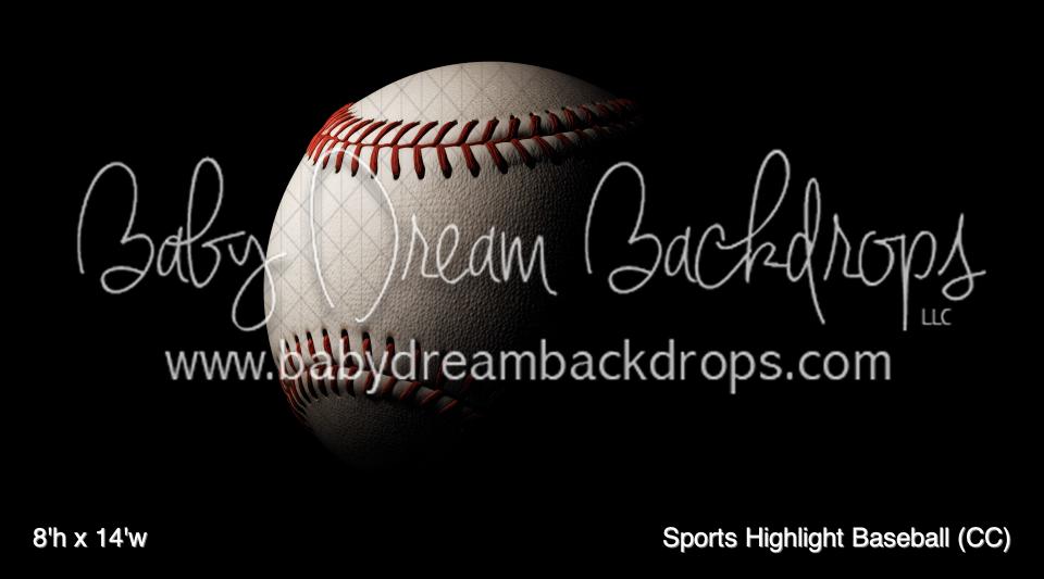 Sports Highlight Baseball (CC)