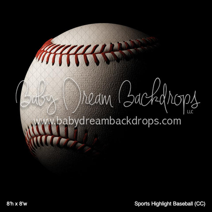 Sports Highlight Baseball (CC)