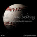 Sports Highlight Baseball (CC)