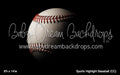 Sports Highlight Baseball (CC)