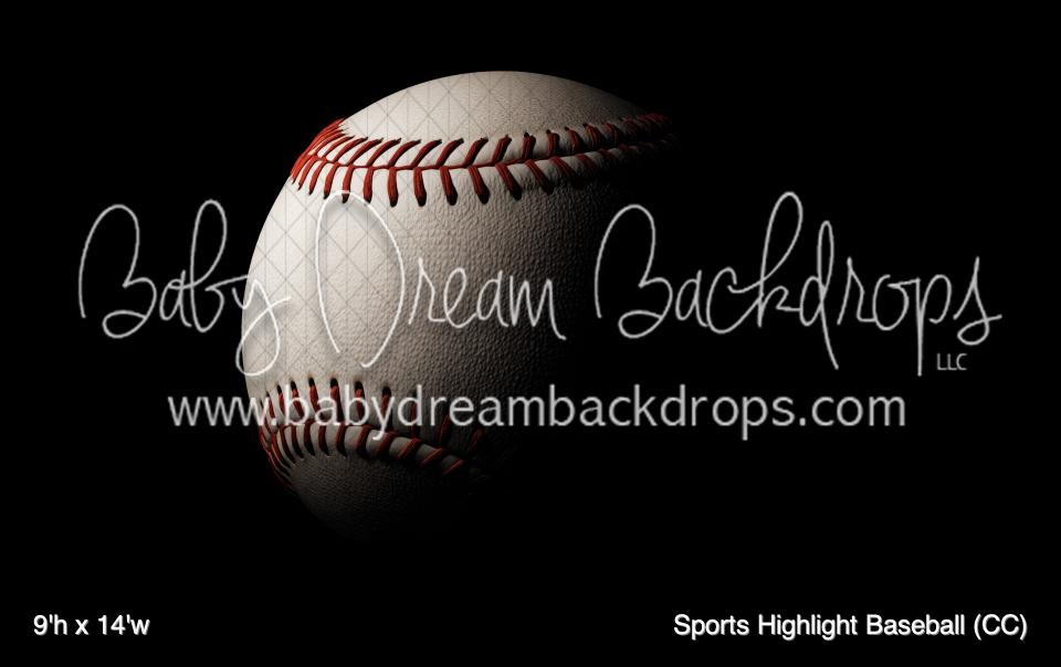 Sports Highlight Baseball (CC)