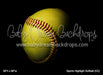 Sports Highlight Softball (CC)