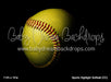 Sports Highlight Softball (CC)