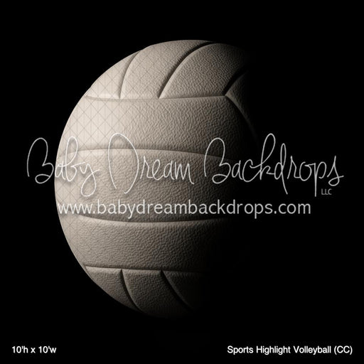 Sports Highlight Volleyball (CC)